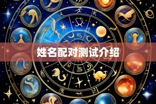 姓名配对测试介绍