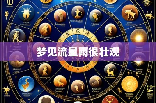 梦见流星雨很壮观