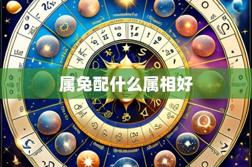 属兔配什么属相好
