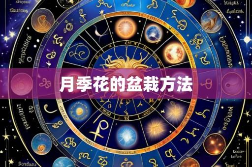 月季花的盆栽方法