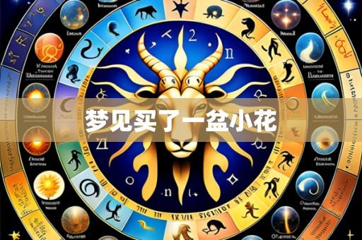 梦见买了一盆小花