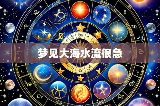 梦见大海水流很急