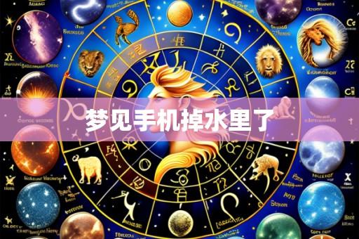 梦见手机掉水里了