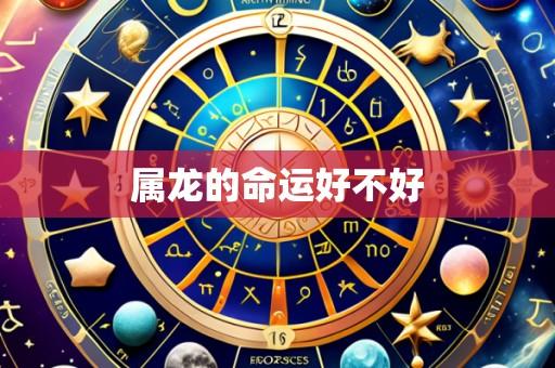 属龙的命运好不好