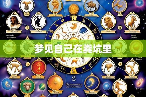 梦见自己在粪坑里