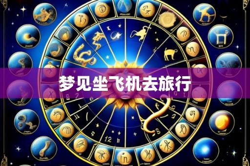 梦见坐飞机去旅行