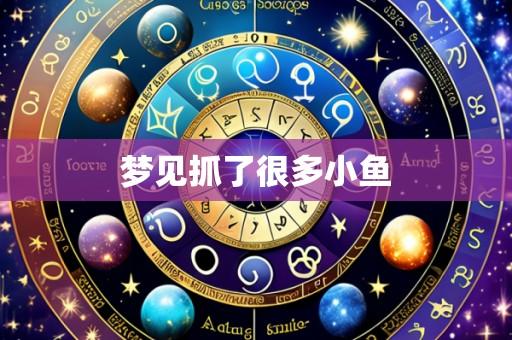 梦见抓了很多小鱼