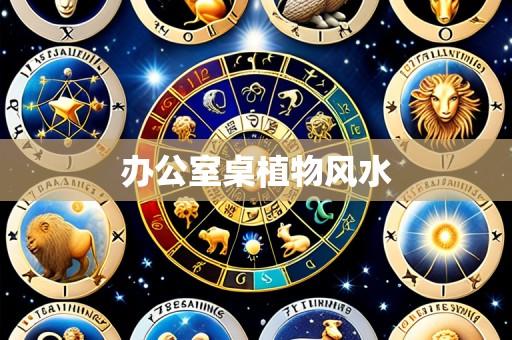 办公室桌植物风水