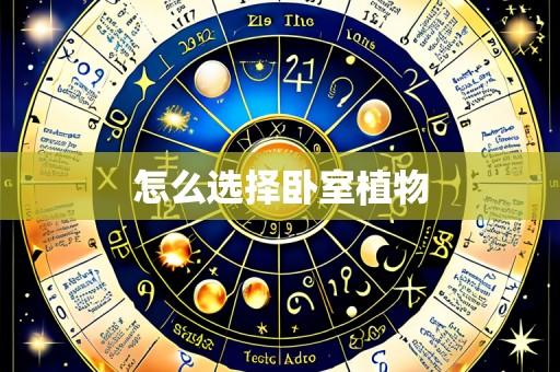 怎么选择卧室植物