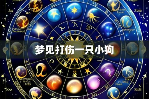 梦见打伤一只小狗