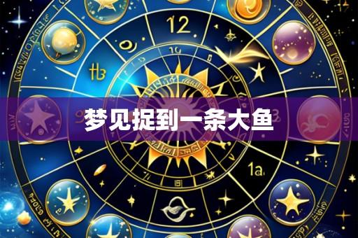 梦见捉到一条大鱼