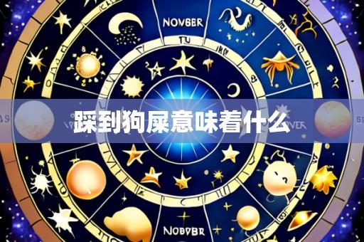 踩到狗屎意味着什么