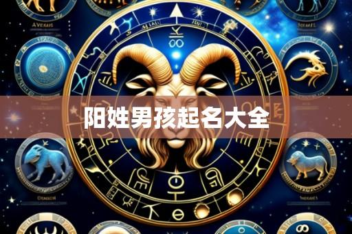阳姓男孩起名大全