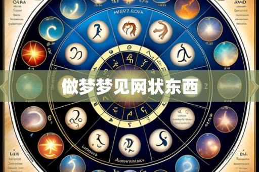 做梦梦见网状东西