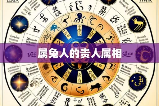 属兔人的贵人属相