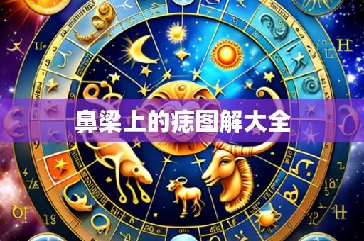 鼻梁上的痣图解大全