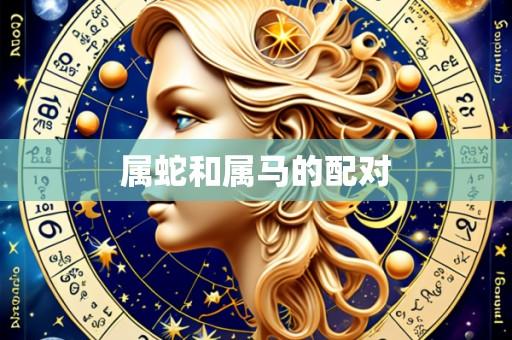 属蛇和属马的配对