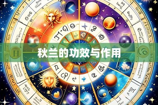 秋兰的功效与作用
