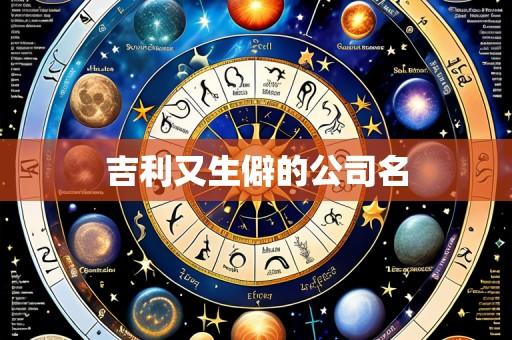 吉利又生僻的公司名