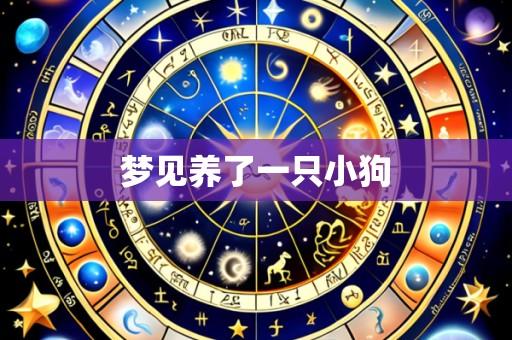 梦见养了一只小狗