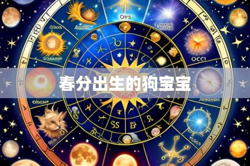 春分出生的狗宝宝