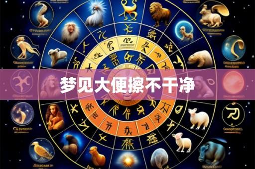梦见大便擦不干净
