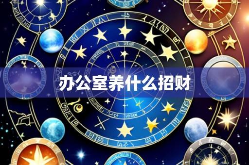 办公室养什么招财