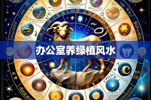 办公室养绿植风水
