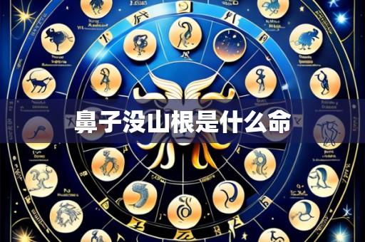 鼻子没山根是什么命