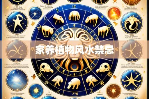 家养植物风水禁忌