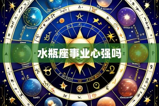 水瓶座事业心强吗
