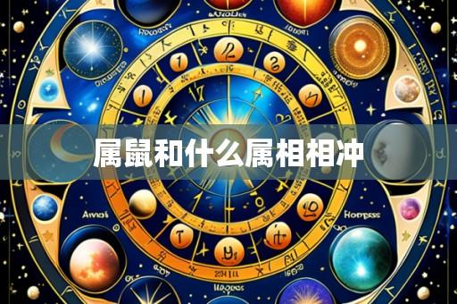 属鼠和什么属相相冲