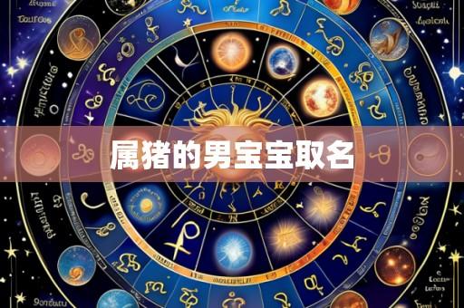 属猪的男宝宝取名