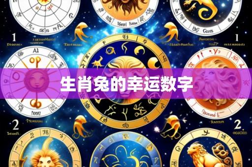 生肖兔的幸运数字