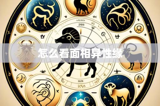怎么看面相异性缘