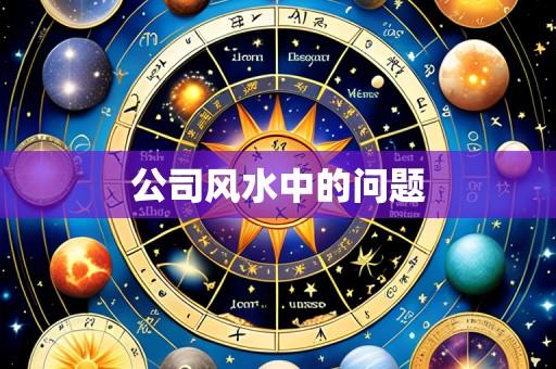 公司风水中的问题