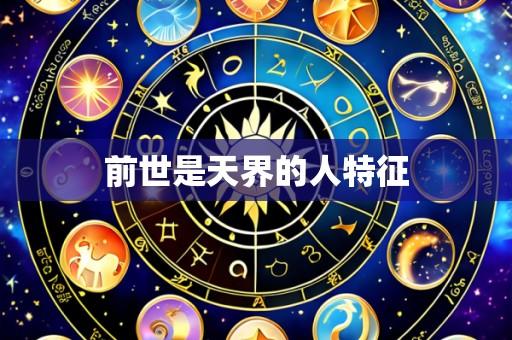 前世是天界的人特征
