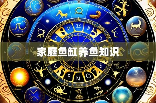 家庭鱼缸养鱼知识