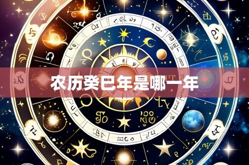 农历癸巳年是哪一年