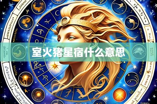室火猪星宿什么意思