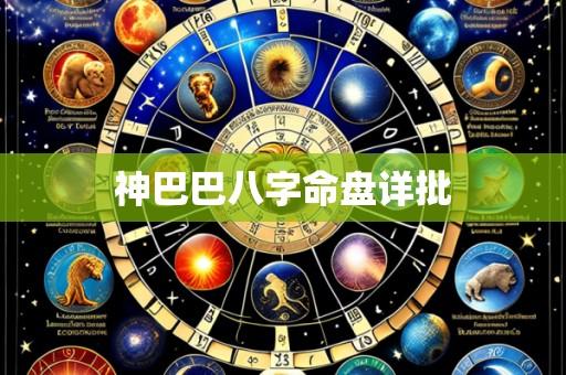 神巴巴八字命盘详批