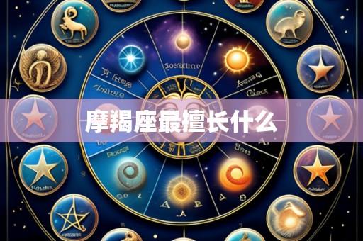 摩羯座最擅长什么