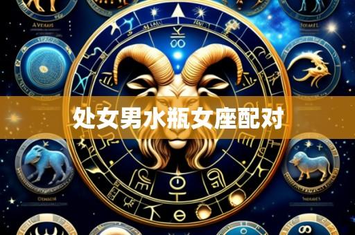 处女男水瓶女座配对