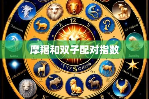 摩羯和双子配对指数