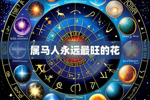 属马人永远最旺的花