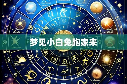 梦见小白兔跑家来