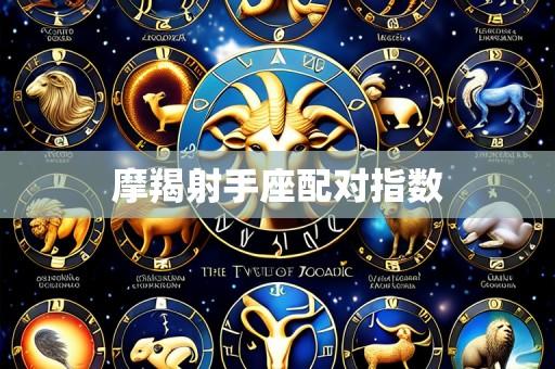 摩羯射手座配对指数