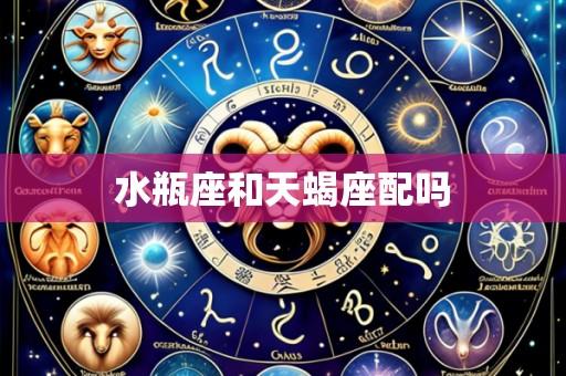 水瓶座和天蝎座配吗