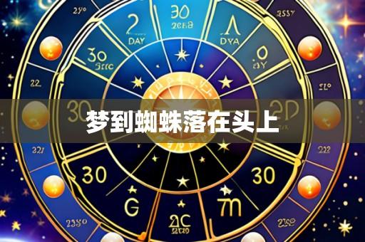 梦到蜘蛛落在头上