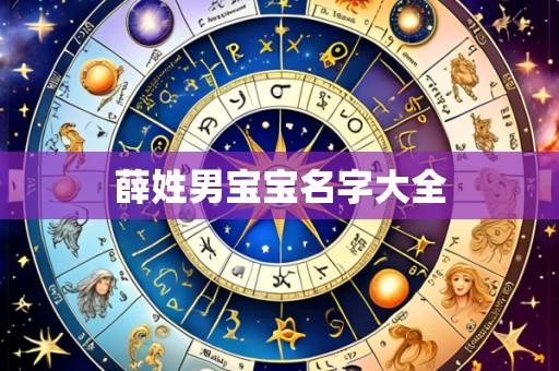 薛姓男宝宝名字大全